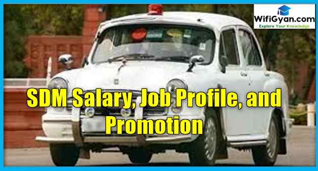 SDM Salary, Job Profile, and Promotion