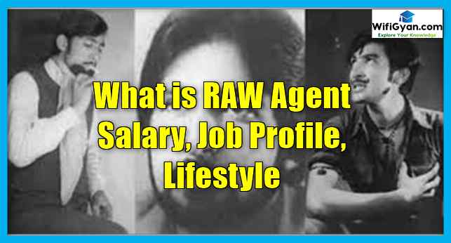 what-is-raw-agent-salary-and-job-profile-lifestyle-job-profile