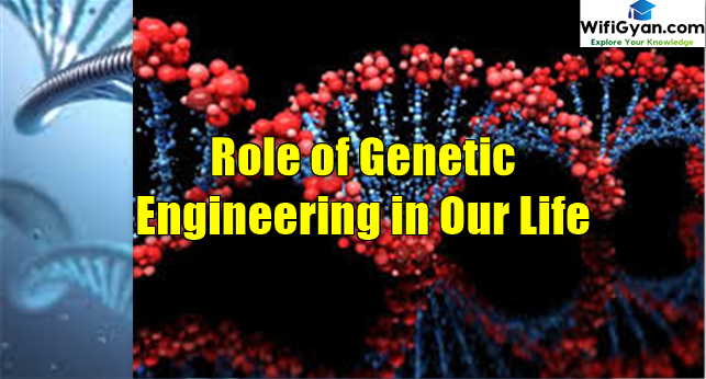 Role of Genetic Engineering in Our Life