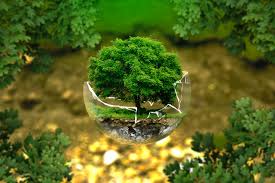 Acts Related To Environment Conservation And Some Important Facts For Exams Perspective.