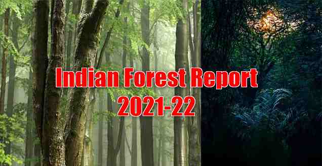 Indian Forest Report